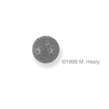 Doorbell Ringer - Golf Ball-Nickel Silver Free Shipping!