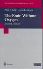 The Brain without Oxygen (Neuroscience Intelligence Unit)