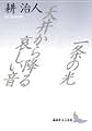 一条の光・天井から降る哀しい音 (講談社文芸文庫)