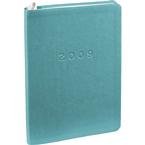 Teal Leather 2009 Planner