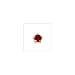 Health & Personal Care : Studex Sterilized Piercing Earrings * Ear Stud * Birthstar * January * Regular Size