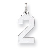 Sterling Silver Medium Polished Number 2