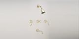 Phylrich D2205_026 - 3Ring Shower Set
