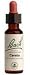 Bach - Cerato 20 Ml