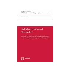 Kollektives Lernen durch Vetospieler?