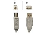 Molex - USB cable - 4 pin USB Type A (M) - 4 pin USB Type B (M) - 6.6 ft ( USB / Hi-Speed USB )