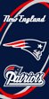 New England Patriots Fiber Reactive Pool/Beach/Bath Towel (Team Color)