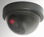 Streetwise Security Products DDCL Dome Dummy Camera with Flashing LED Light
