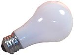 12 Volt Screw Light Bulb