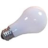 12 Volt Screw Light Bulb
