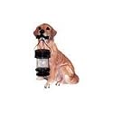 Golden Retriever Dog Solar Landscape Light Statue