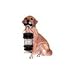 Golden Retriever Dog Solar Landscape Light Statue