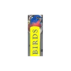 Birds: Wild Birds of North America : Appearance, Habits & Habitat (Fandex Family Field Guides)
