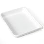 Cesco 10 X12 Plastic Developing Tray - Cesco CL1012T