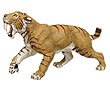 Prehistoric Life Smilodon