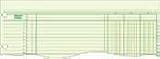 Wilson Jones G10-6 Green Columnar Sheets, Single Page Format, 6 Columns, 9-1/4X11-7/8, 100/Pk