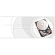 CHEETAH 146GB U320 HD 3.5LP 4.7MS 68PIN 10KRPM (ST3146807LW)