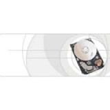 CHEETAH 146GB U320 HD 3.5LP 4.7MS 68PIN 10KRPM (ST3146807LW)