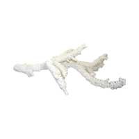 Worldwide Imports Tree Coral 7-10 by WORLDWIDE IMPORTS