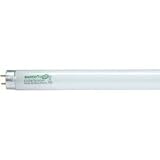 Satco S8433 F17t8/865/Env 17w Fluorescent W/ Medium Bi-Pin Base - Daylight