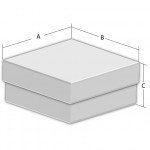 CUSTOM BIOGENIC SYSTEMS B3CL 15 and 50 mL Tube Freezer Storage Box, 5 3/4 x 4 3/4 x 5 3/4 - 1 Each