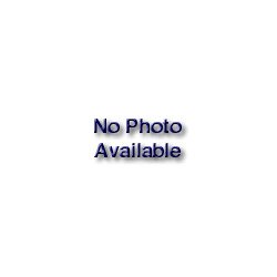 500 Watt Replacement Halogen Bulb (MTN5800B) Category: Flashlight and Lantern Parts by