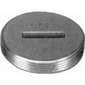 Clean-Out Plug by Jones Stephens Corp - 4 Inch ABS Slotted