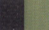 Pre-tested Oil 37cc Sap Green