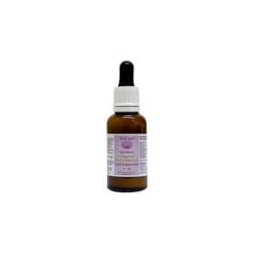 Biocare Vitasorb Multivitamins 30ml