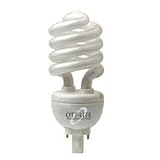 25 Watt Replacement Swirl Bulb