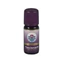 KAMPHER OEL, 10 ml