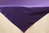 Wholesale wedding Square 54 SATIN Overlay - Purple