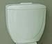 Caroma Royal 305 Toilet Tank Biscuit 624530B