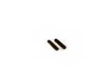 Ski Inserts