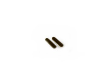 Ski Inserts