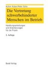 Die Vertretung der schwerbehinderter im Betrieb: Handlungsanleitungen und Orientierungen f&uuml;r die Praxis - Achim Huber, Peter Ochs
