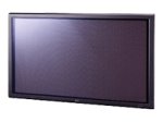 NEC PlasmaSync 42VP4 - 42 plasma panel - widescreen - 480p - black