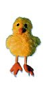 Childrens Toyshop  Toys : Chick Finger Puppet [Toy]