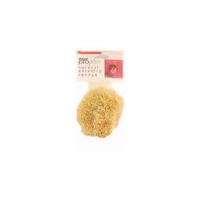 Armaly Brands #15216 SM Medium Tex Paint Sponge
