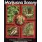 Marijuana Botany
