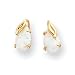 Sardelli - 14k Created Opal with Leaf Dangle Earrings