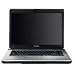 Toshiba Satellite Pro L300D-20R - Athlon X2 QL-64 / 2.1 GHz - RAM 2 GB - HDD 160 GB - DVD±RW (±R DL) / DVD-RAM - Radeon 3100 - WLAN : 802.11b/g - Vista Home Premium - 15.4 Widescreen TruBrite TFT 1280 x 800 ( WXGA ) - camera