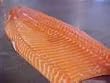 Fresh Atlantic Salmon