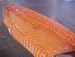 Fresh Atlantic Salmon