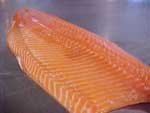 Fresh Atlantic Salmon