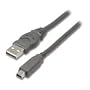 Belkin F3U138-10 Pro Series 10-Foot USB 2.0 5-Pin Mini-B Cable