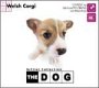 THE DOG～Welsh Corgi