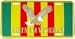 Vietnam Veteran License Plate