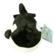 Webkinz Orca Whale with Trading Cards