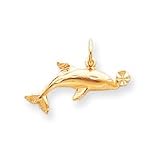 10k Dolphin Charm